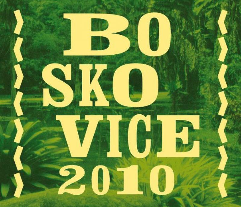 Boskovice 2010 logo