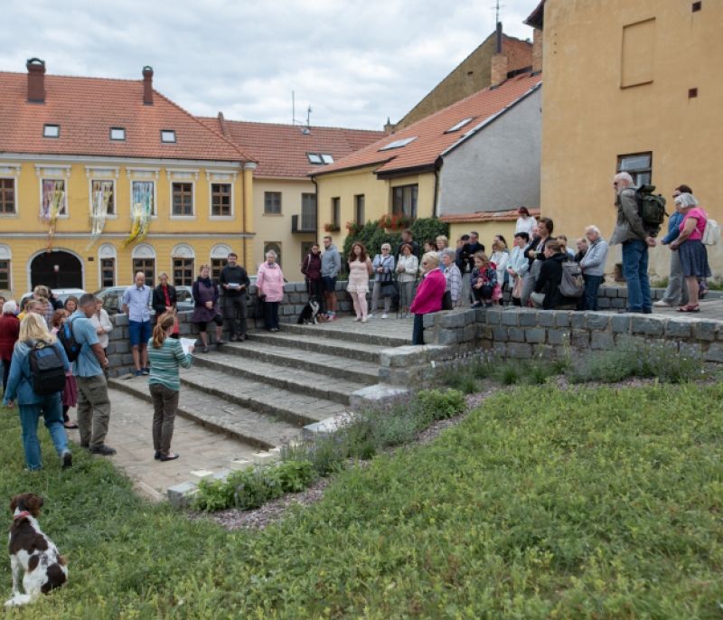Pokládání kamenů zmizelých, foto Katka Trnková